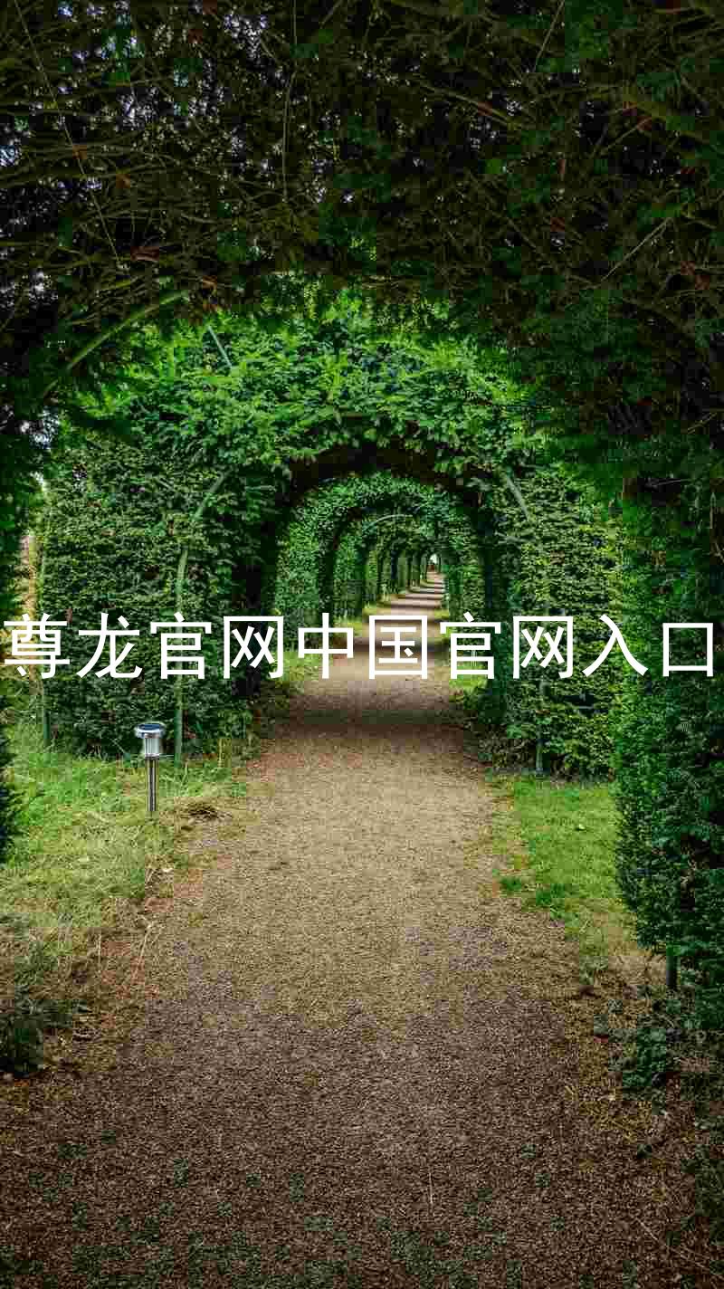 尊龙官网中国官网入口