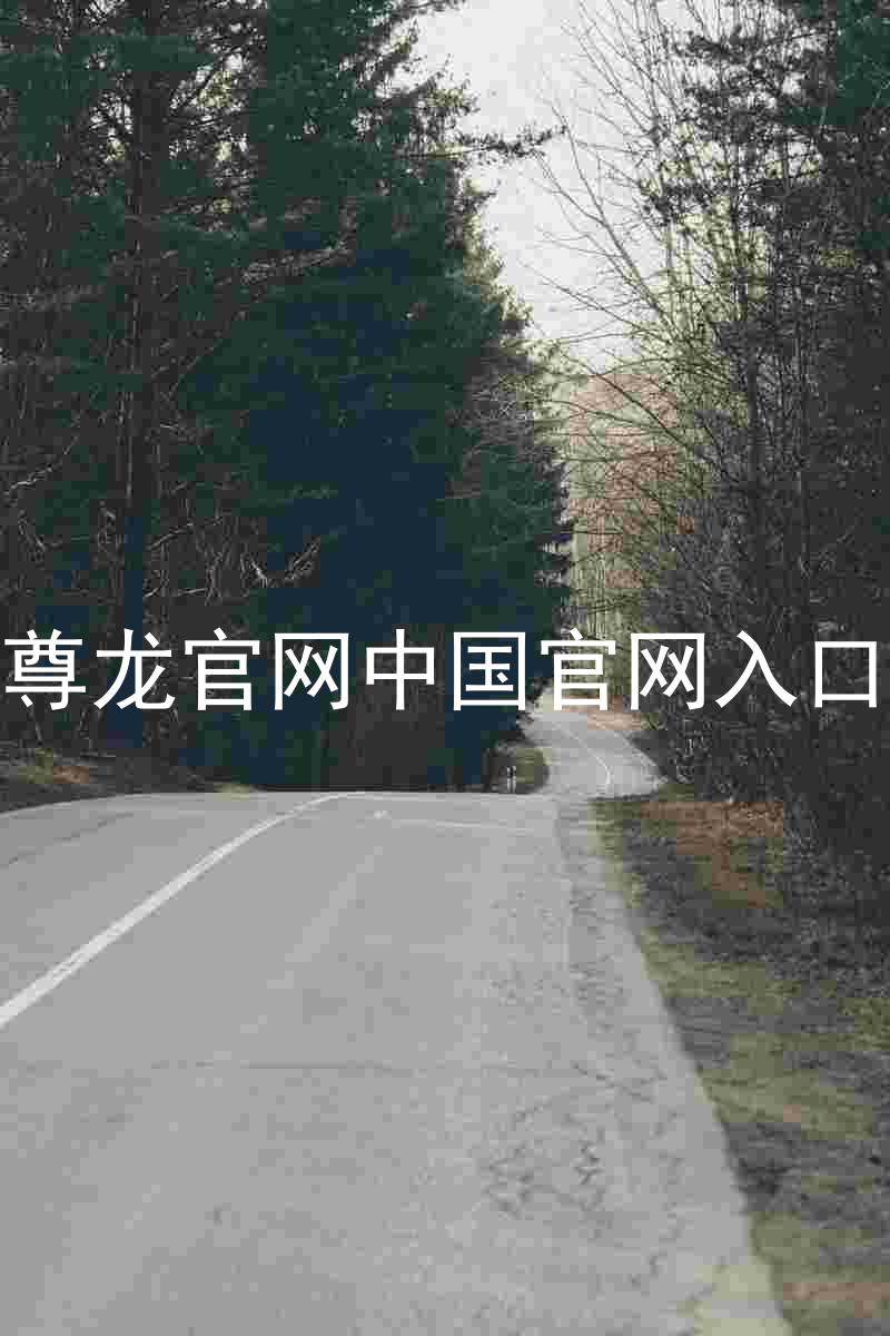 尊龙官网中国官网入口