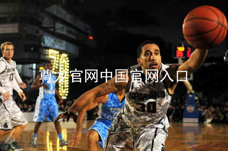 尊龙官网中国官网入口