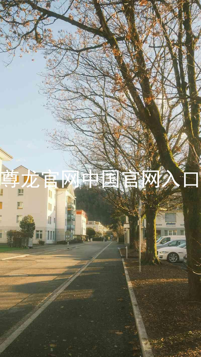 尊龙官网中国官网入口