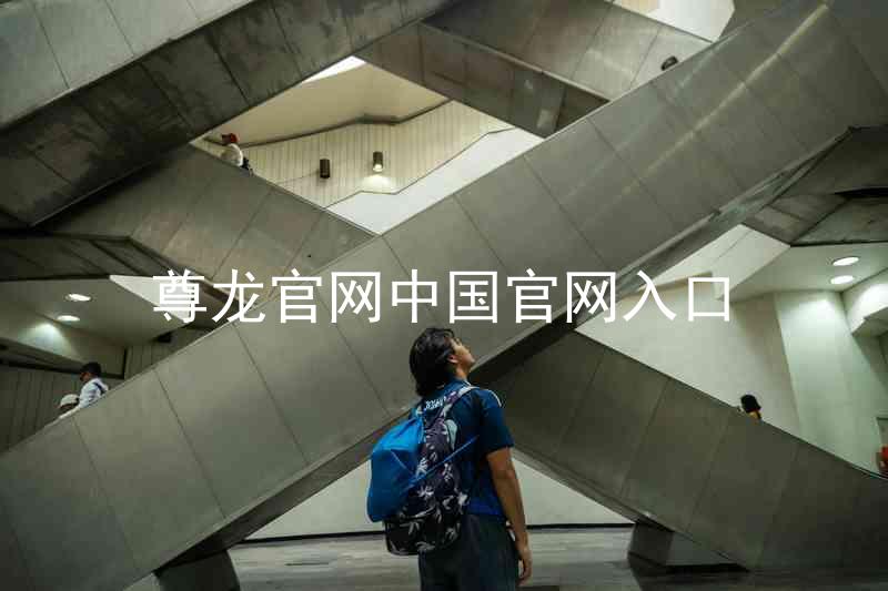 尊龙官网中国官网入口