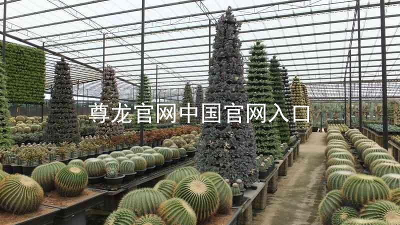 尊龙官网中国官网入口