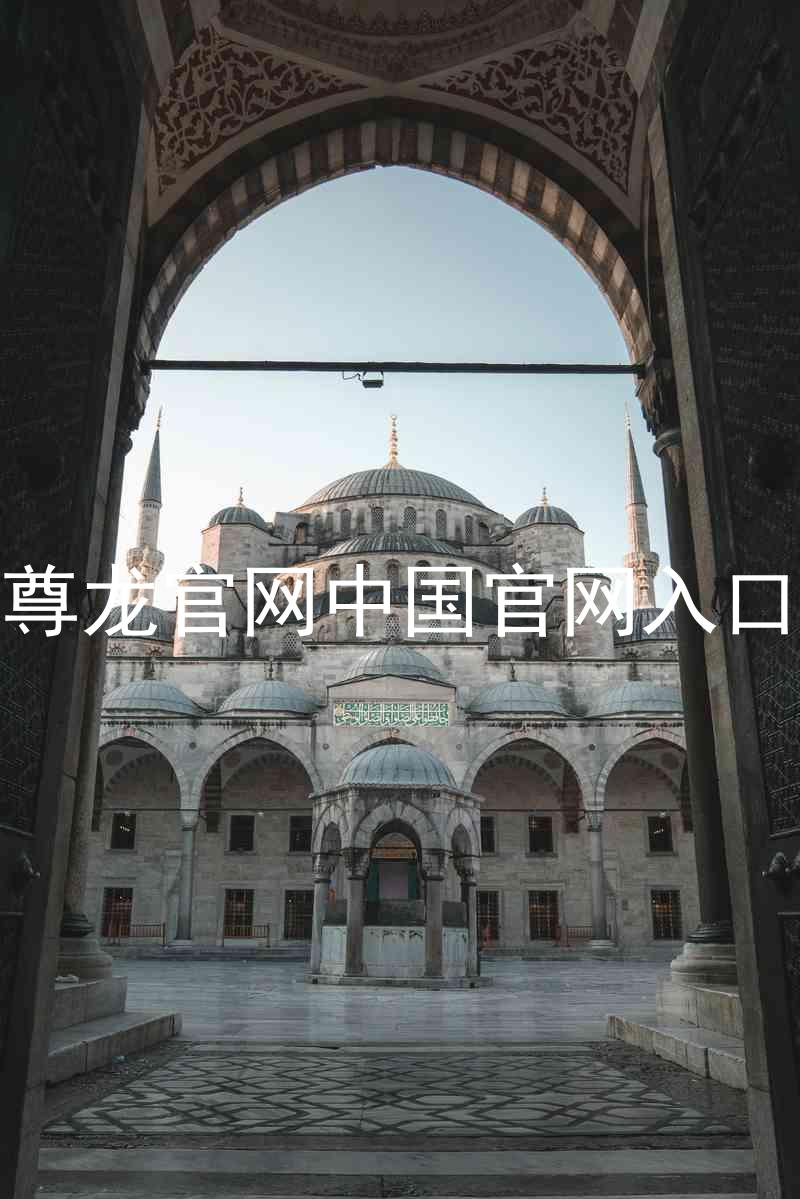 尊龙官网中国官网入口