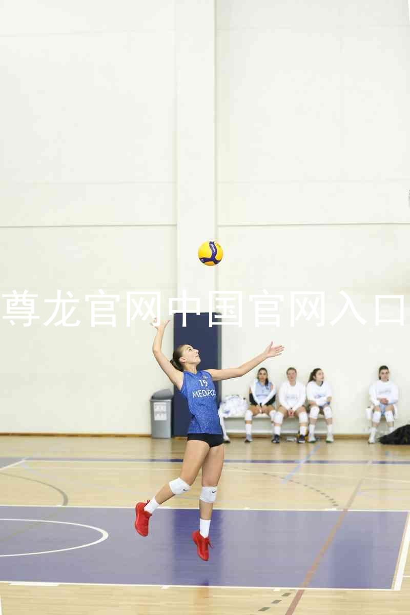 尊龙官网中国官网入口